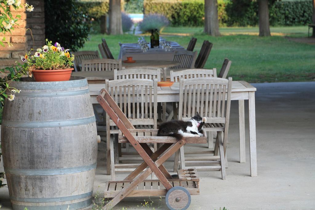 Agriturismo Le Piane Del Milia Suvereto Ngoại thất bức ảnh